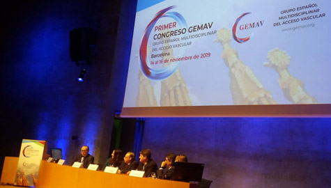 ponencias gemav 19
