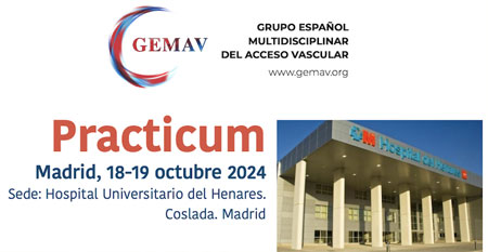 practicum gemav 2024