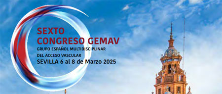 vi congreso GEMAV 24