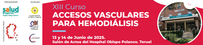banner curso AVH 2025