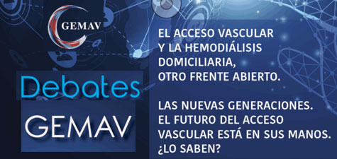 debate GEMAV nov 25